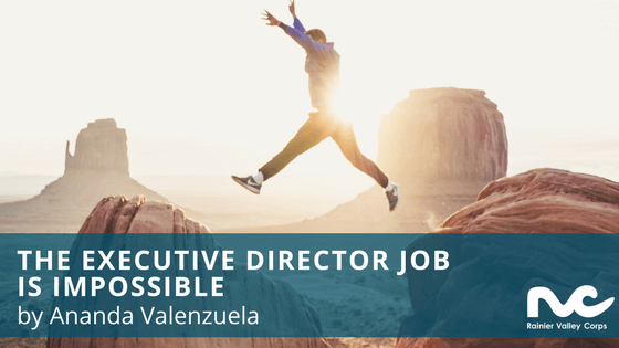 The Executive Director Job Is Impossible - rvc